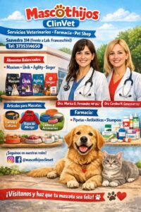 WhatsApp Image 2026-04-24 at 13.51.05 (1)